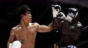 拳王猛虎在线观看,激战巅峰,热血沸腾的在线对决 第2张 拳王猛虎在线观看,激战巅峰,热血沸腾的在线对决 第2张